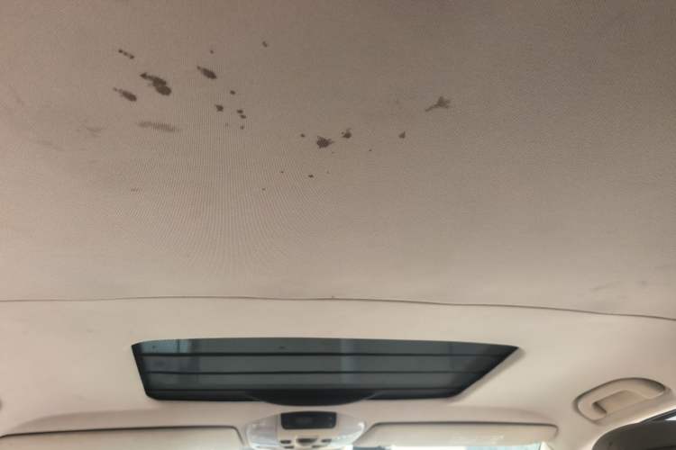 Used Mercedes-Benz Viano 2010 2.5L Luxury Edition Headliner