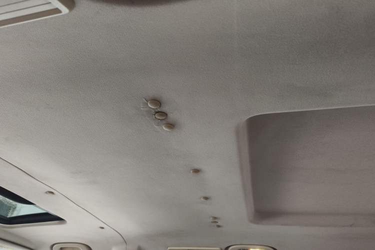 Used Mercedes-Benz Viano 2011 2.5L Luxury Edition Headliner