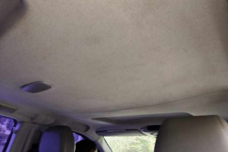 Used Mercedes-Benz Vito 2010 2.5L Elite Edition Headliner