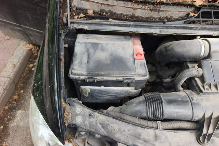 Used Mercedes-Benz Vito 2011 2.5L 7-seater executive version Engine Bay Right