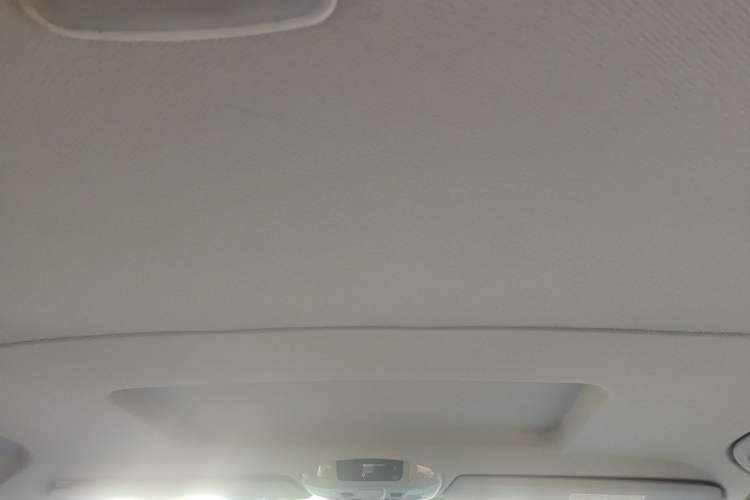 Used Mercedes-Benz Vito 2011 2.5L 7-seater executive version Headliner