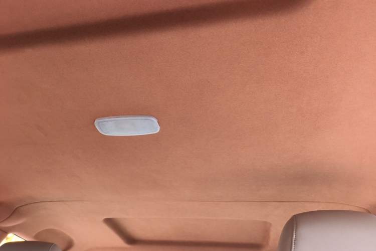 Used Mercedes-Benz Vito 2011 2.5L 7-seater executive version Headliner