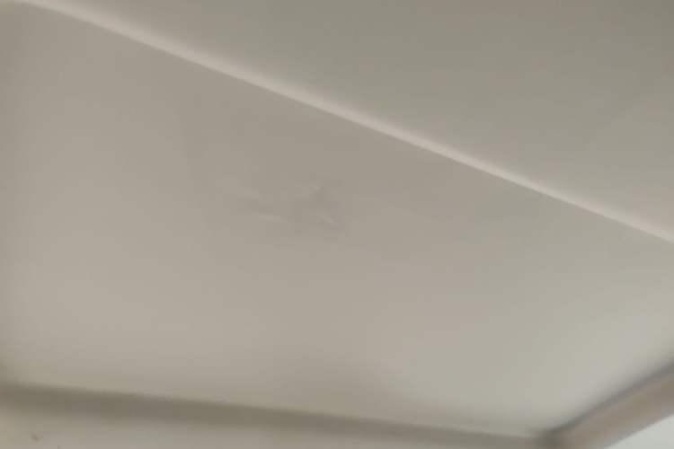 Used Mercedes-Benz Vito 2011 2.5L Elite Edition Headliner