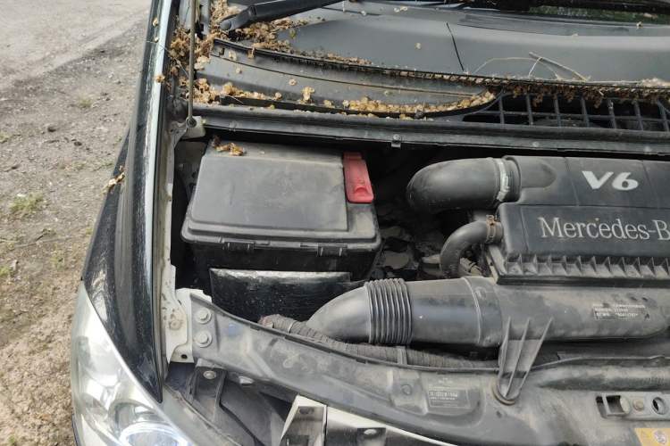 Used Mercedes-Benz Vito  Engine Bay Right