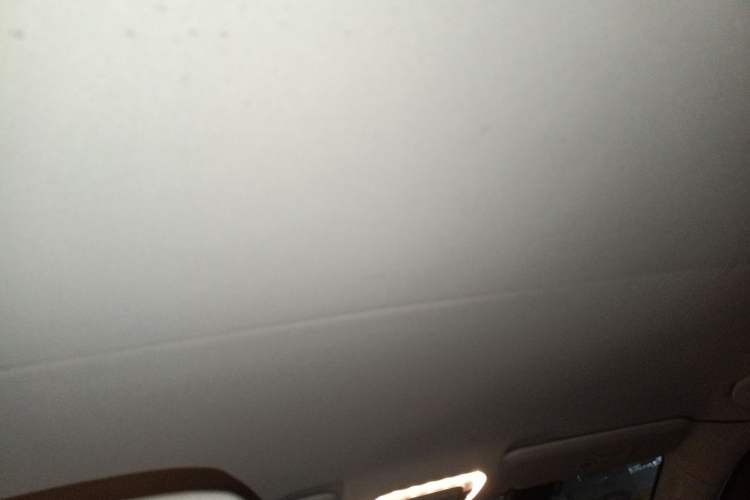 Used Mercedes-Benz Vito 2016 2.0T Business Edition Headliner