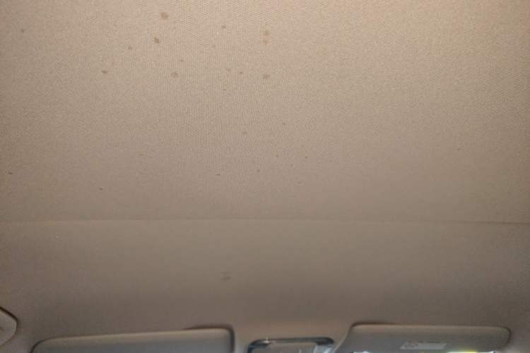 Used Mercedes-Benz Vito 2016 2.0T Business Edition Headliner