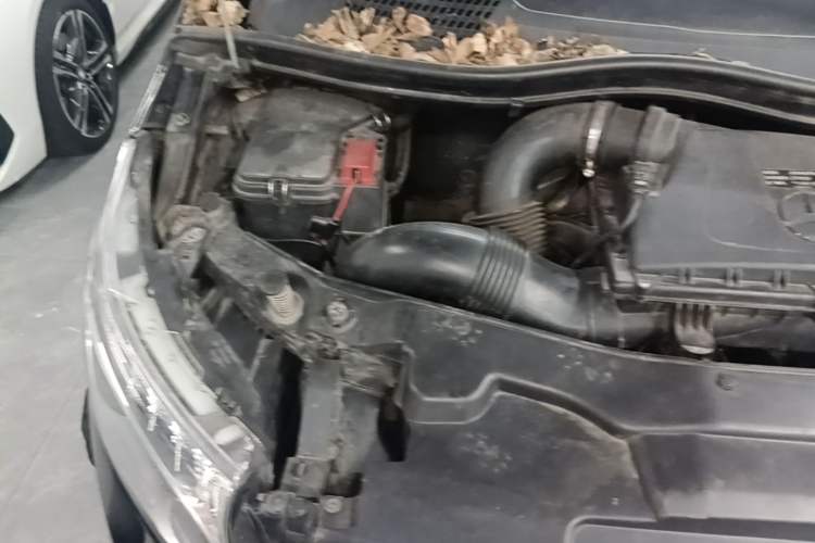 Used Mercedes-Benz Vito 2018 2.0T Business Version China V Emission Standard Engine Bay Right
