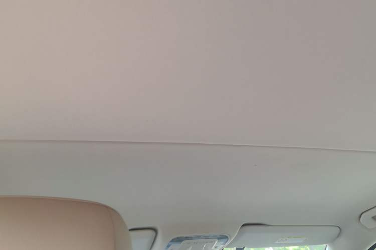Used Mercedes-Benz Vito 2018 2.0T Business Version China V Emission Standard Headliner