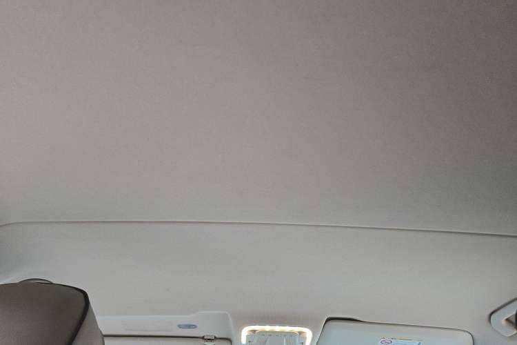 Used Mercedes-Benz Vito 2018 2.0T Business Version China VI Emission Standard Headliner