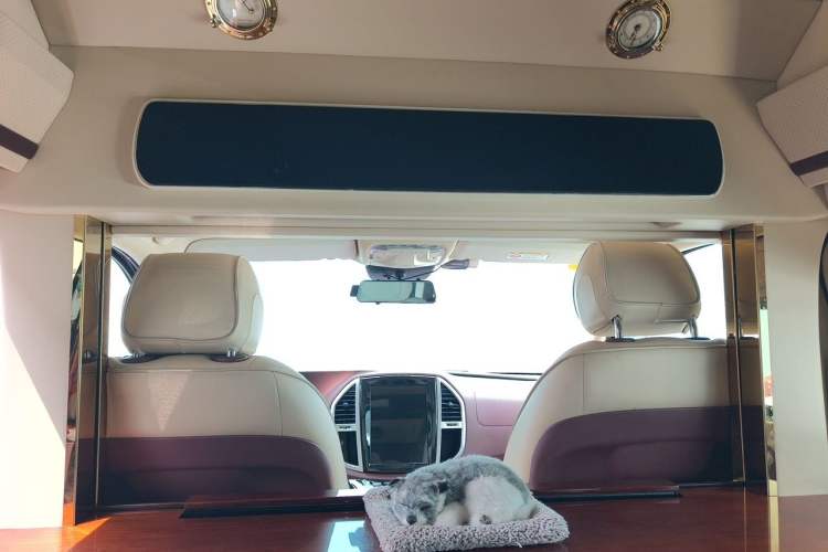 Used Mercedes-Benz Vito 2018 2.0T Business Version China V Emission Standard Headliner
