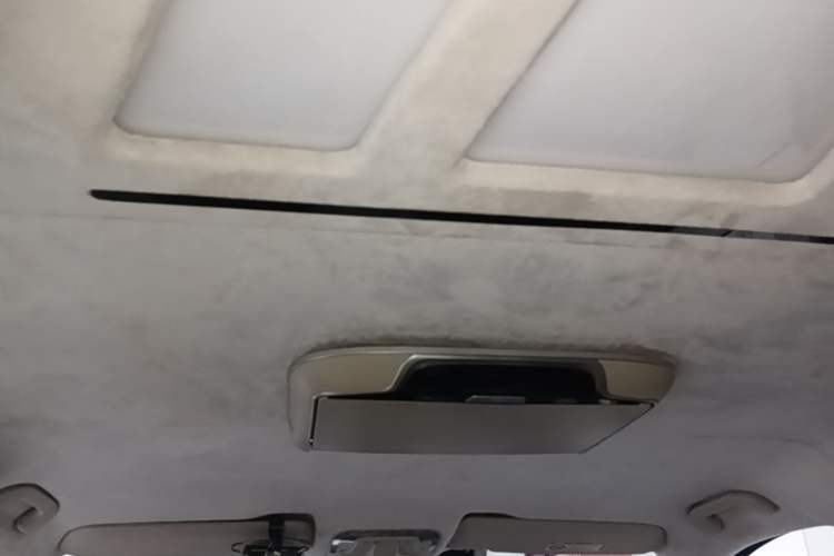 Used Mercedes-Benz Vito 2018 2.0T Business Version China V Emission Standard Headliner