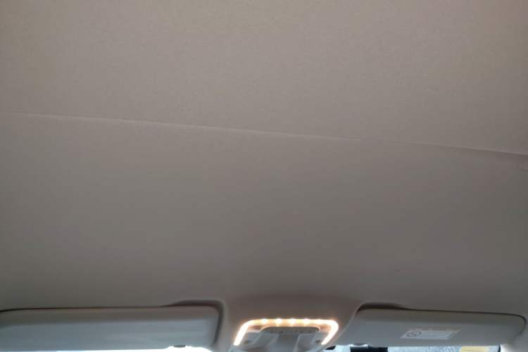 Used Mercedes-Benz Vito 2018 2.0T Business Version China V Emission Standard Headliner