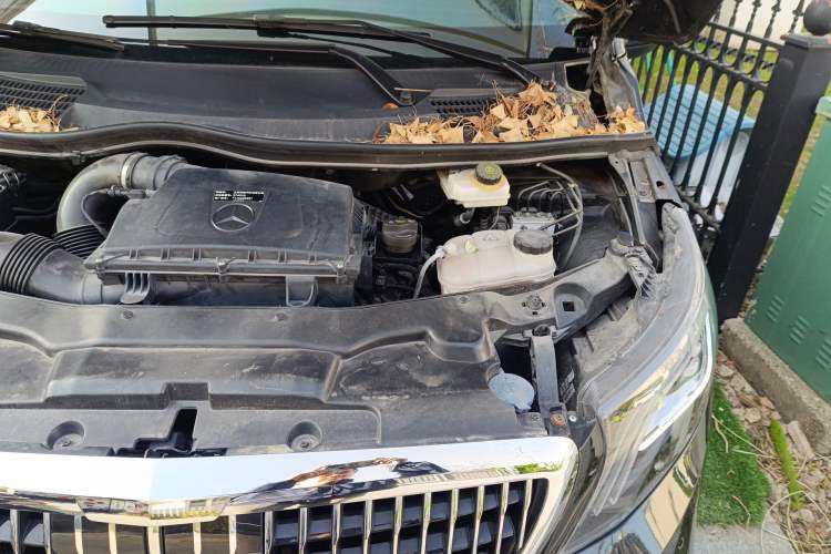 Used Mercedes-Benz Vito 2021 2.0T Business Version 7 Seats Engine Bay Left