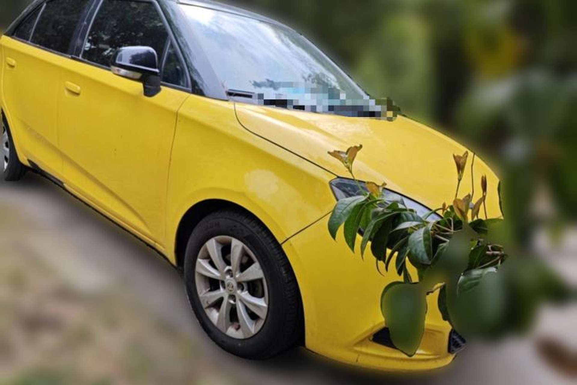 Used MG 3 2013 1.5L Manual Value Edition Front Right 45 Deg