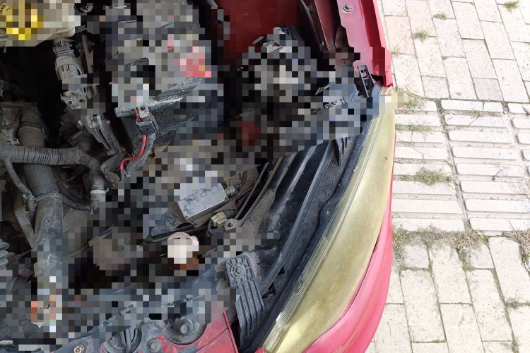 Used MG 3 2014 1.5L AMT Elite Edition Engine Bay Left