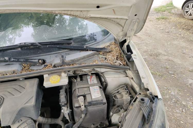 Used MG 3 2014 1.3L Manual Comfort Edition Engine Bay Left