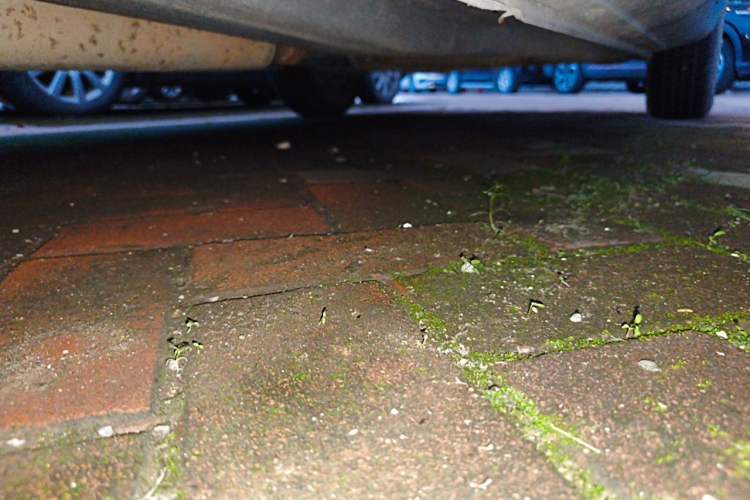 Used MG 3 2016 1.3L AMT Comfort Edition Chassis Front Left