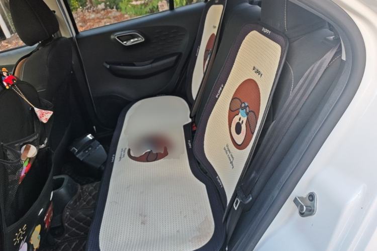 Used MG 3 2017 1.5L Automatic Smart Connect Elite Edition Left Rear Seat