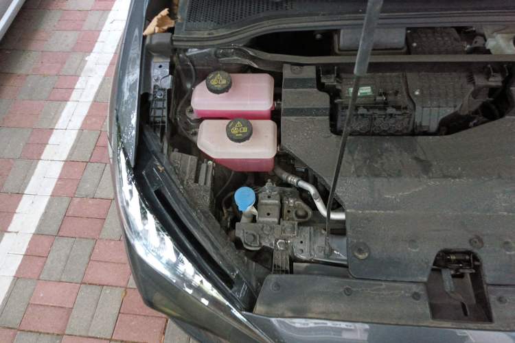 Used MG 4 EV 2023 415 km Range Sea-Faring Champion Edition Engine Bay Right