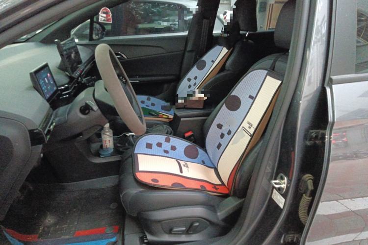 Used MG 4 EV 2023 415 km Range Sea-Faring Champion Edition Left Front Seat