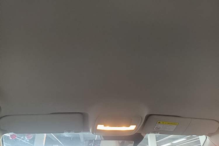 Used MG 4 EV 2023 415 km Range Sea-Faring Champion Edition Headliner