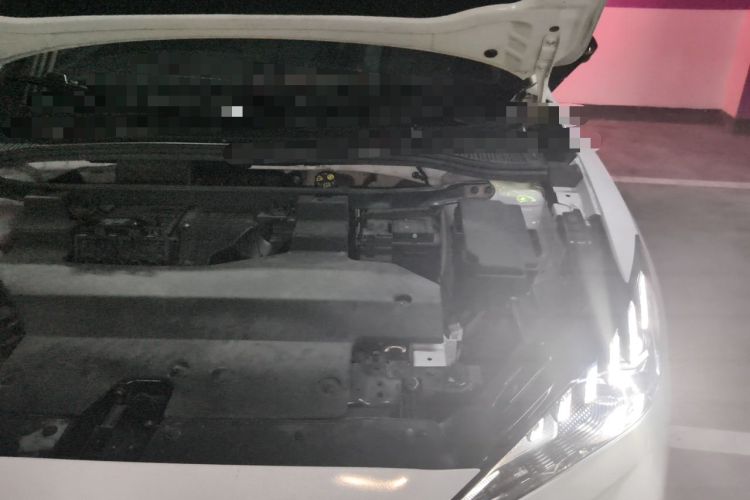 Used MG 4 EV 2023 415 km Range Sea-Faring Champion Edition Engine Bay Left
