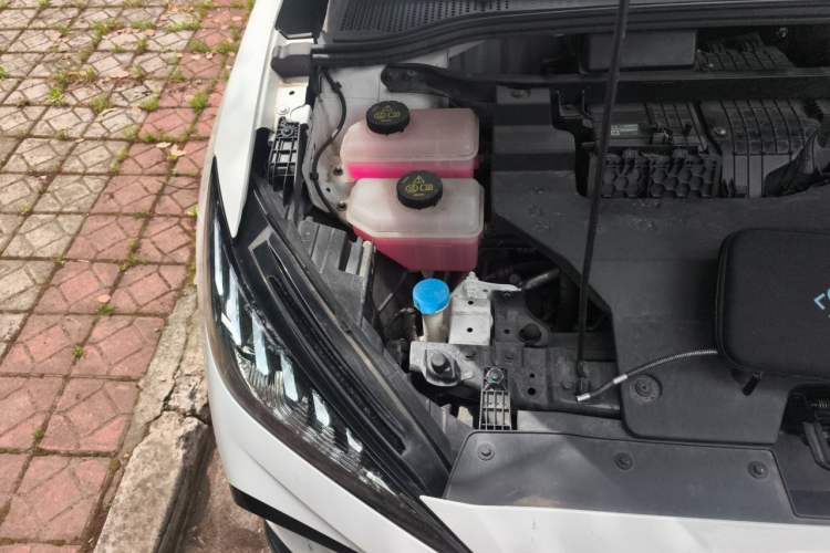 Used MG 4 EV 2023 415 km Range Sea-Faring Champion Edition Engine Bay Right