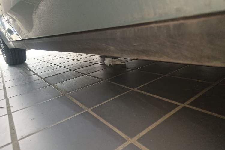 Used MG 4 EV 2026 Model 437 Freedom Edition Right Side Sill