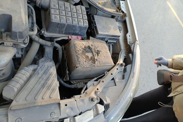 Used MG 5 2012 1.5L Automatic Elite Edition Engine Bay Left