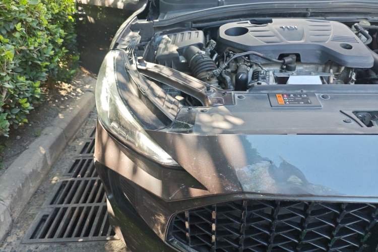 Used MG 5 2021 300TGI DCT Elegant Luxury Edition Right Front Headlight