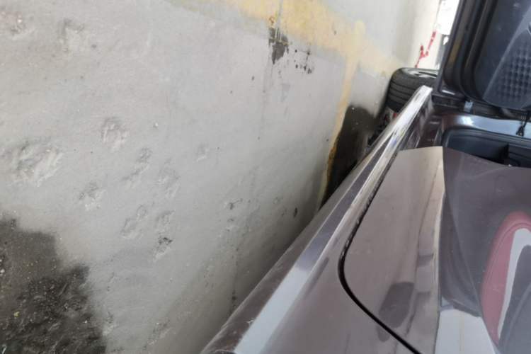 Used MG 5 2021 Revised Version 180 DVVT CVT Youth Luxury Edition Left Side Sill