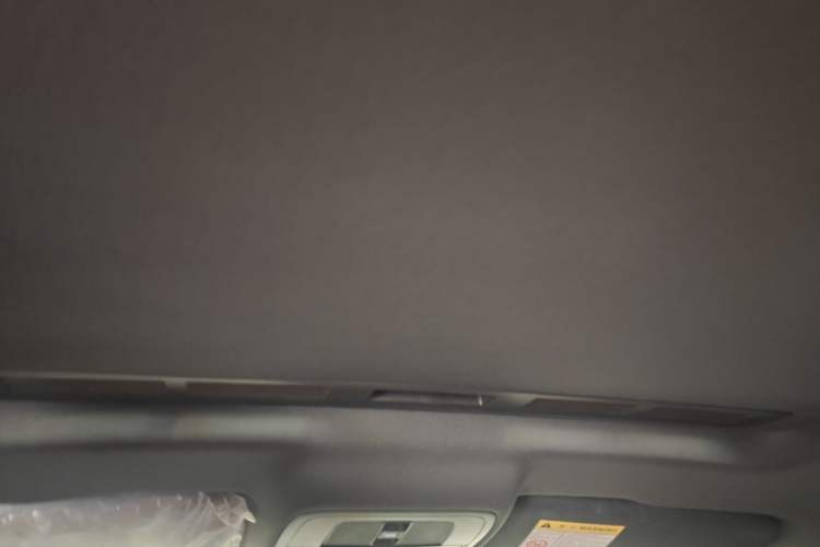 Used MG 5 2021 300TGI DCT Elegant Luxury Edition Headliner