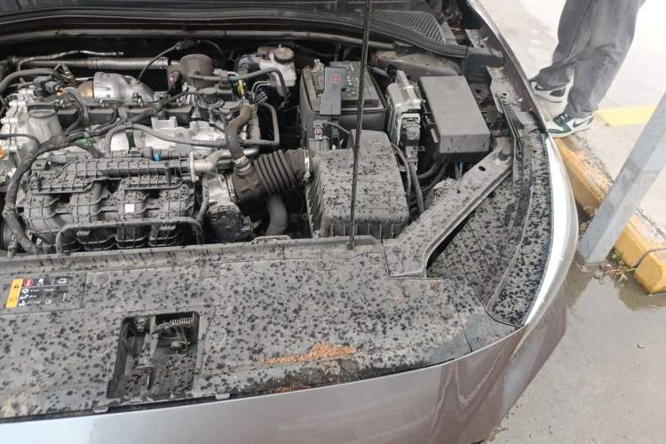 Used MG 5 2023 180 DVVT Manual Fashion Edition Engine Bay Left