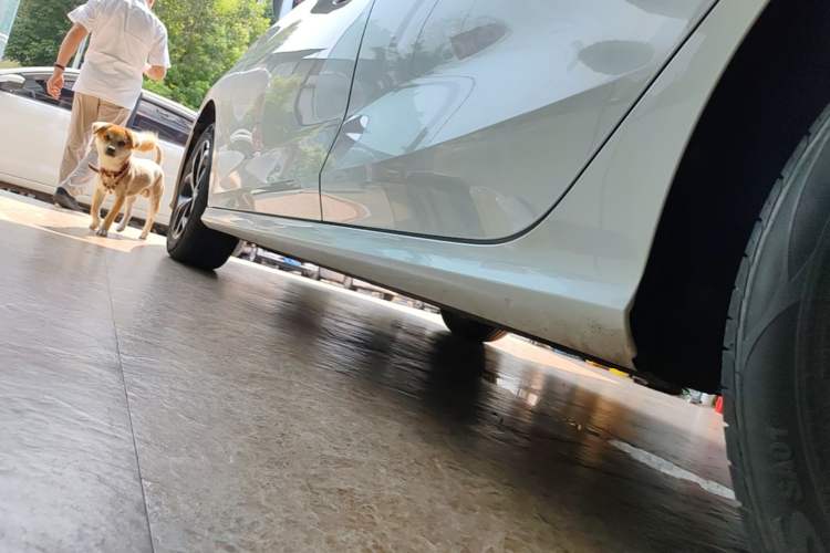 Used MG 5 2023 180 DVVT CVT Luxury Edition Left Side Sill