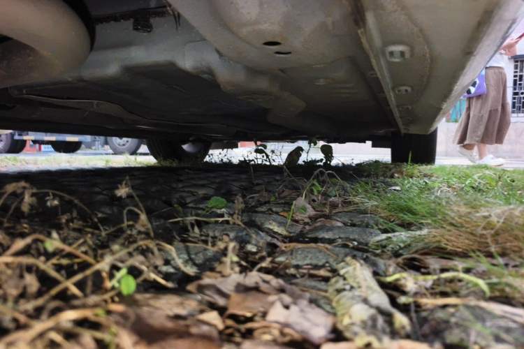 Used MG 5 2025 300TGI Global Flagship Edition Chassis Rear Right