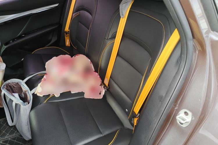 Used MG 5 Scorpio 2022 1.5T Trophy Sport Luxurious Edition Left Rear Seat