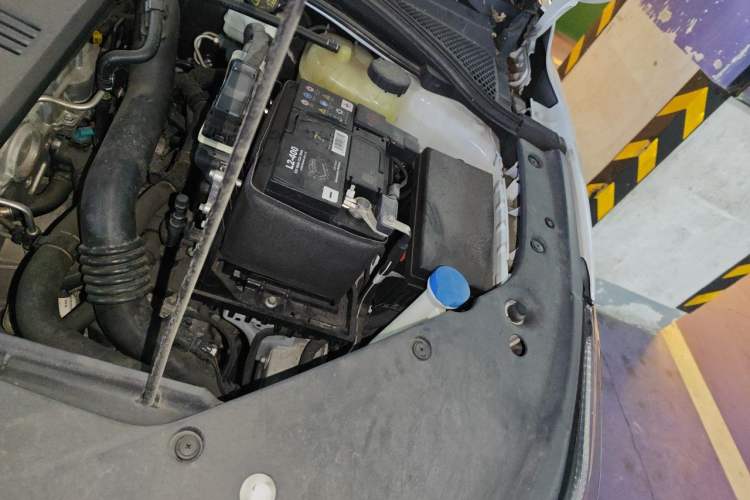 Used MG 5 Scorpio 2022 1.5T Trophy Sport Flagship Edition Engine Bay Left