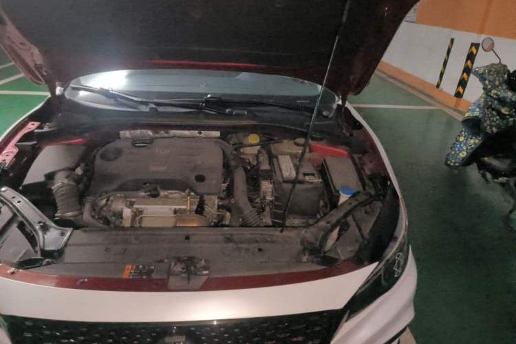 Used MG 6 2019 20T Automatic Trophy 10th Anniversary Edition Engine Bay Left