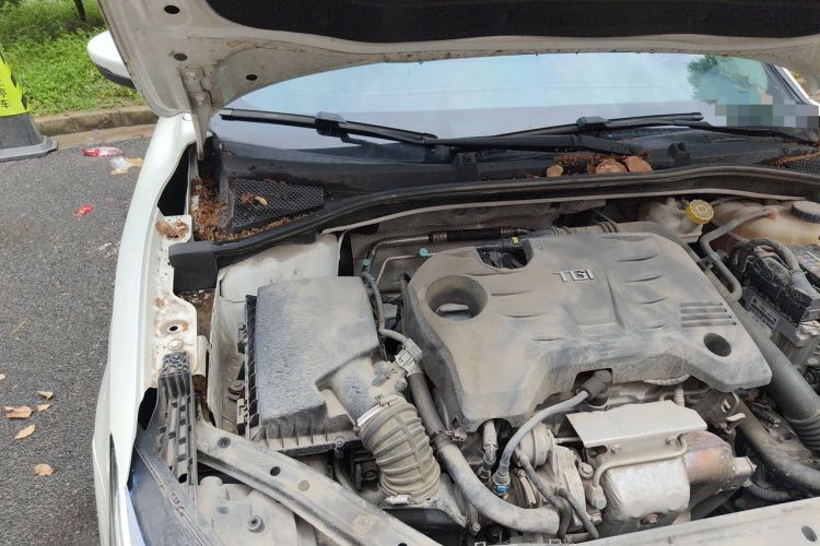 Used MG 6 2019 20T Automatic Starlight Edition Engine Bay Right