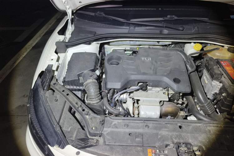 Used MG 6 2019 20T Automatic Trophy Racing Edition + Sporty Rear Exhaust Racing Kit Engine Bay Right