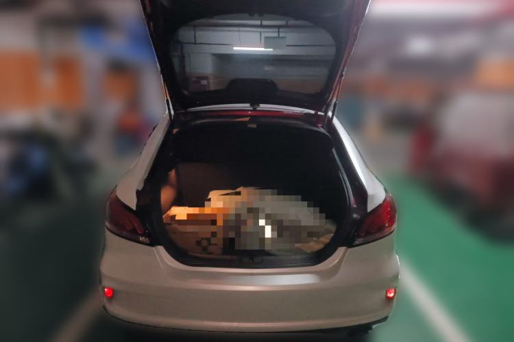 Used MG 6 2019 20T Automatic Trophy 10th Anniversary Edition Trunk