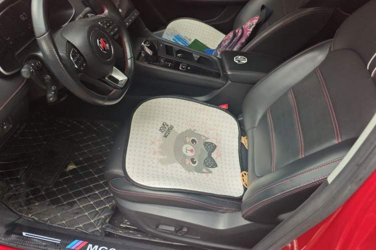 Used MG 6 2020 1.5T Automatic Trendsetting Luxury Edition Left Front Seat