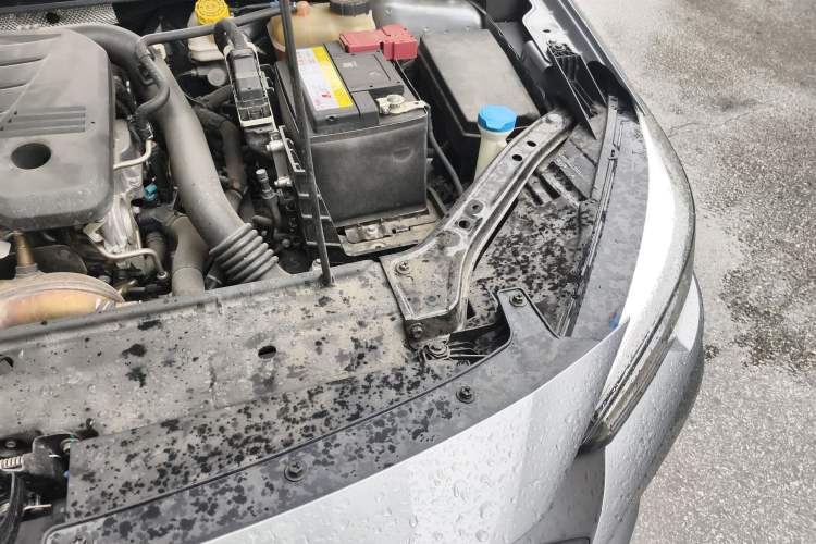 Used MG 6 2020 1.5T Automatic Trendsetting Luxury Edition Engine Bay Left