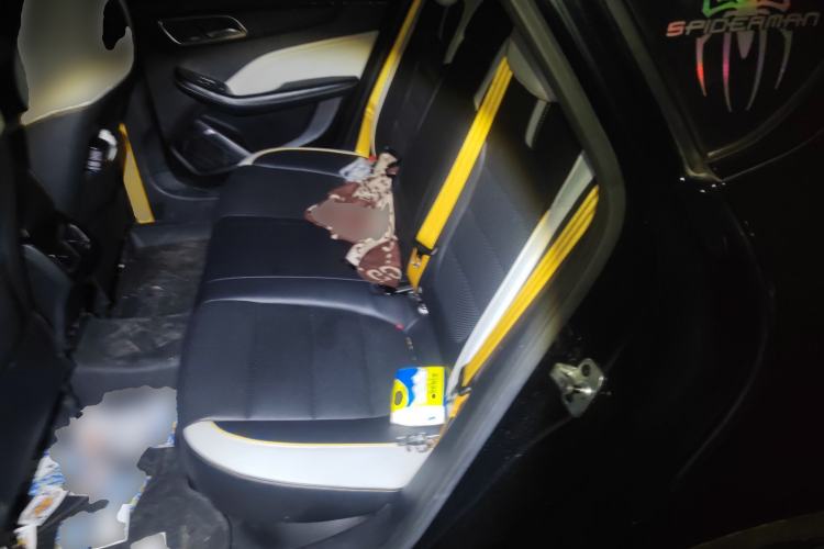Used MG 6 2021 Pro 1.5T Automatic Trophy Flagship Edition Left Rear Seat