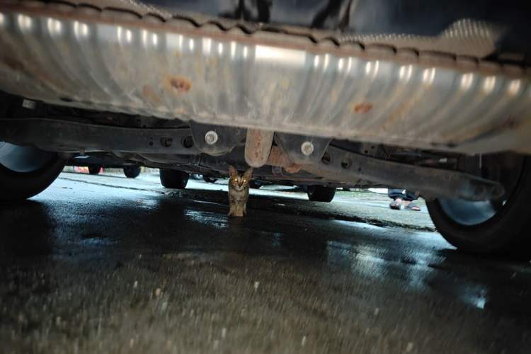 Used MG 6 2021 Pro 1.5T Automatic Trophy Flagship Edition Chassis Rear