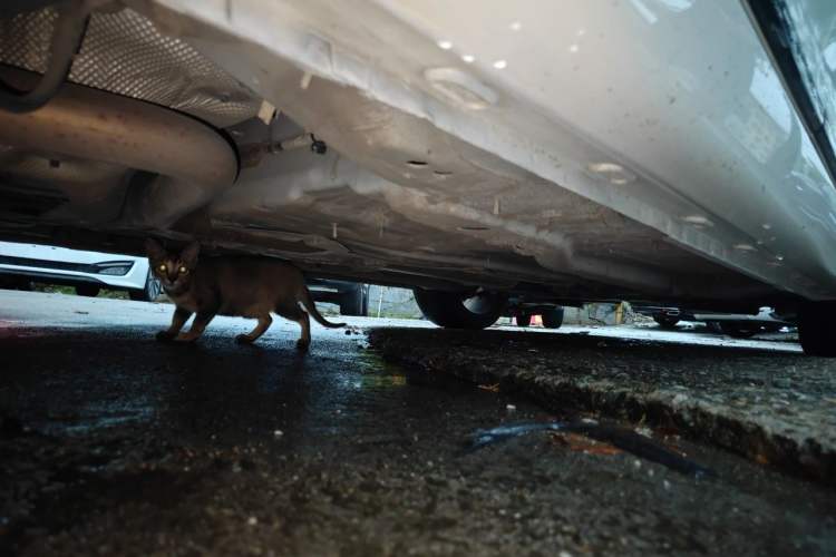 Used MG 6 2021 Pro 1.5T Automatic Trophy Flagship Edition Chassis Rear Right