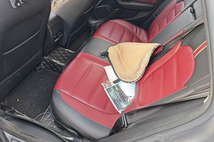 Used MG 6 New Energy 2019 50T Trophy 5-Second Edition Left Rear Seat
