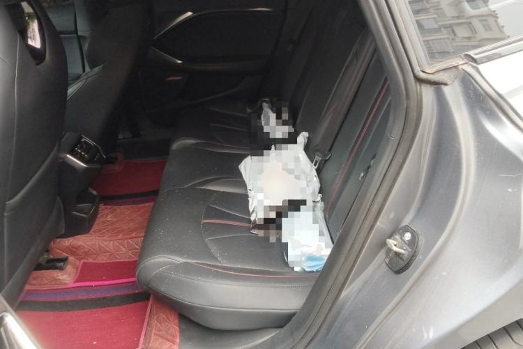 Used MG 7 2023 2.0T Automatic Hunter Luxury Edition Left Rear Seat