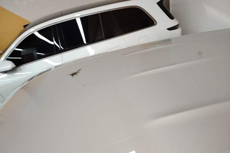 Used MG ES5 2025 425 Pro Rear-Drive Version Roof