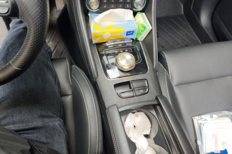 Used MG EZS Electric 2019 E-Pro Edition Gear Lever